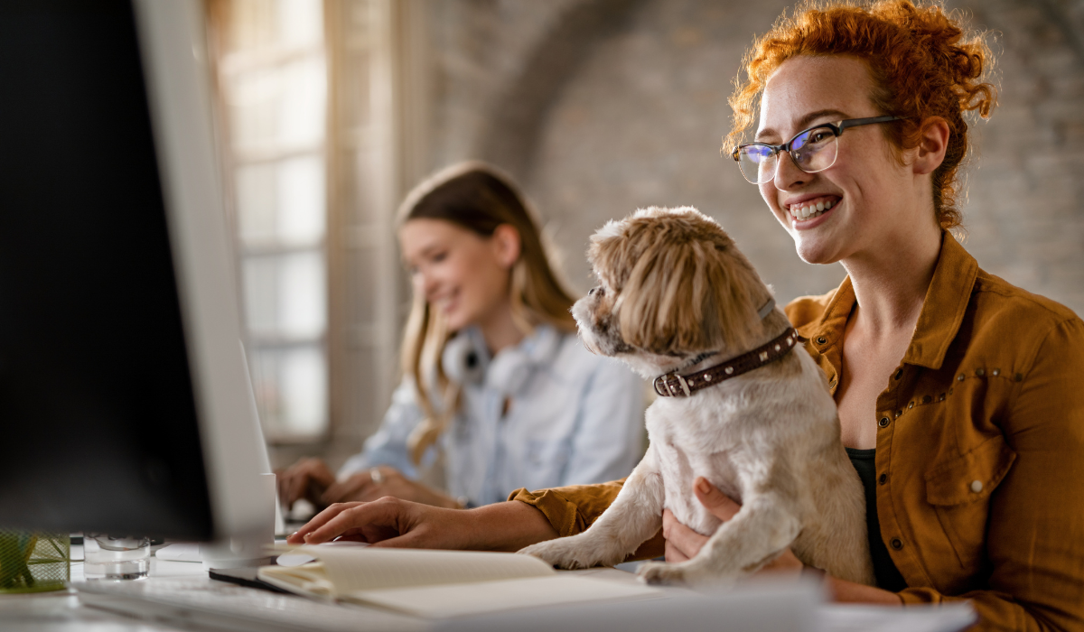 Paw-sitive Vibes: How pet friendly policies can transform your workplace